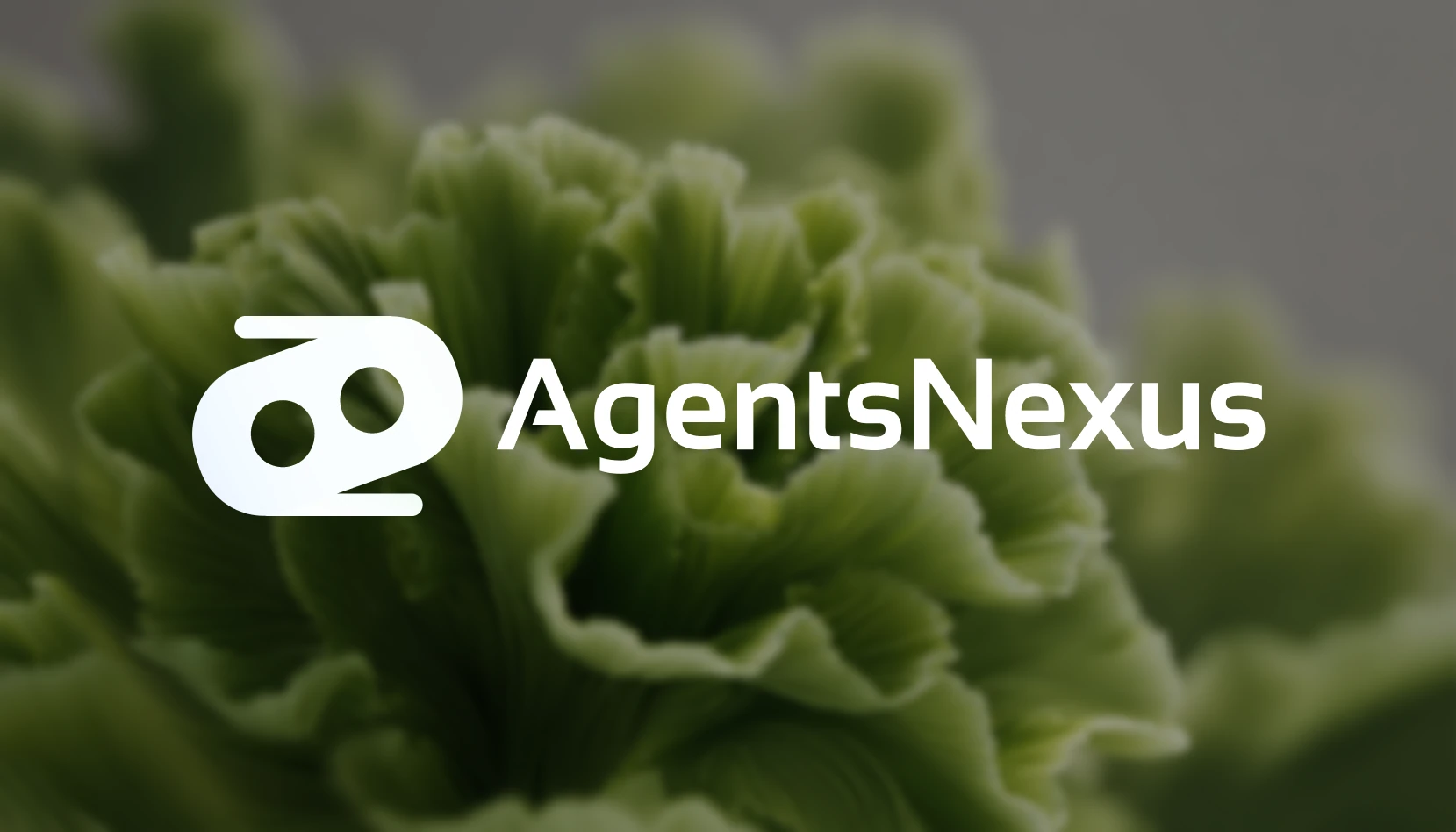 AgentsNexus