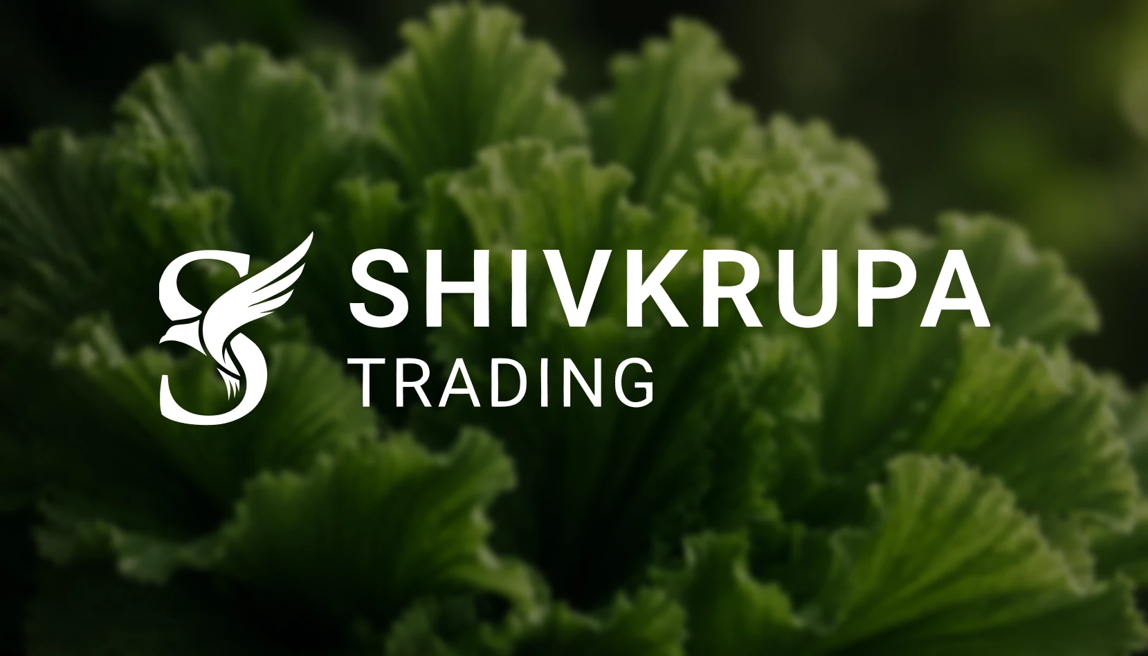 ShivKrupa Trading